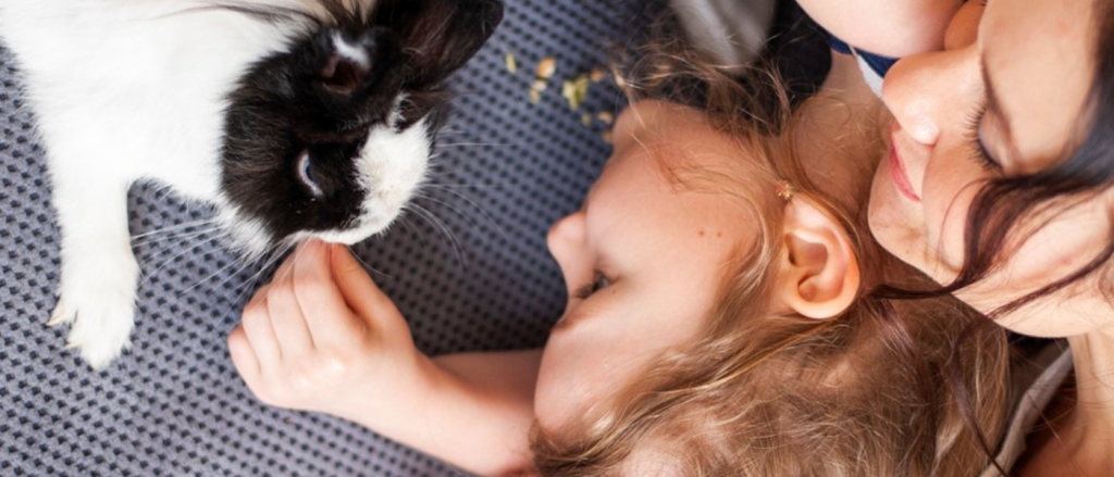 cohabitation homme-animal