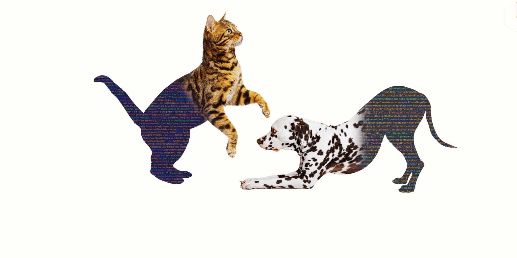 Panorama des animaux de compagnie