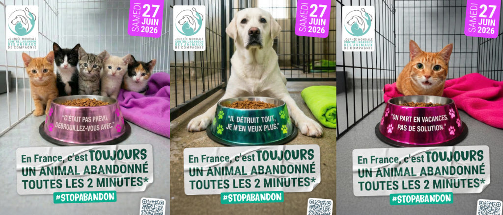 journée mondiale contre l'abandon 2026