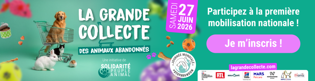 la Journée mondiale contre l'abandon 2026
