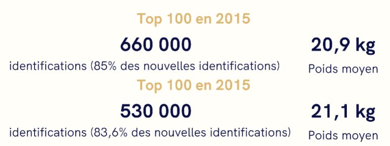évolution du poids moyens des chiens