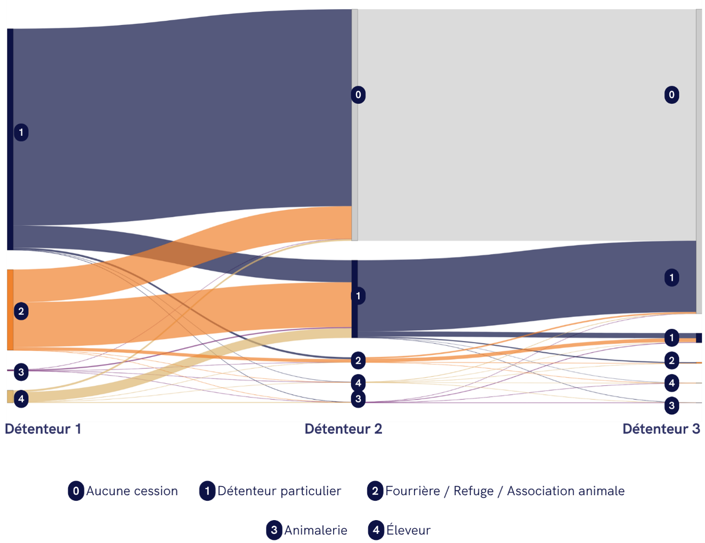 population des chiens et des chats