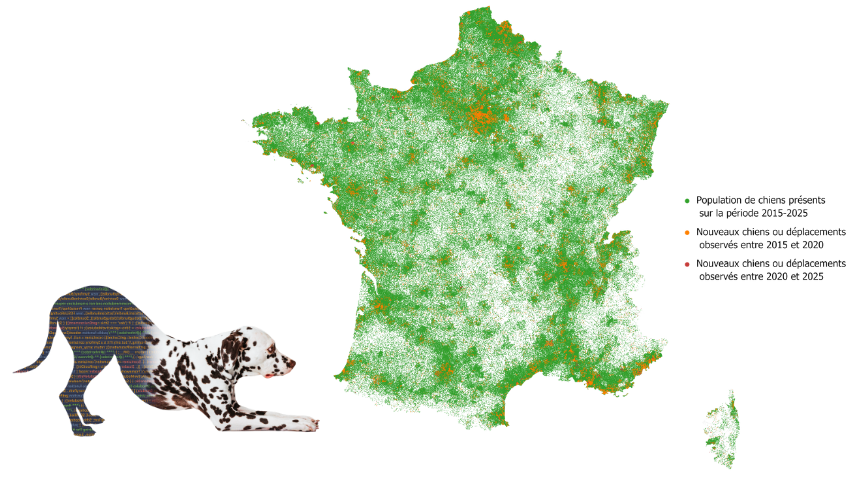 animaux de compagnie à la campagne