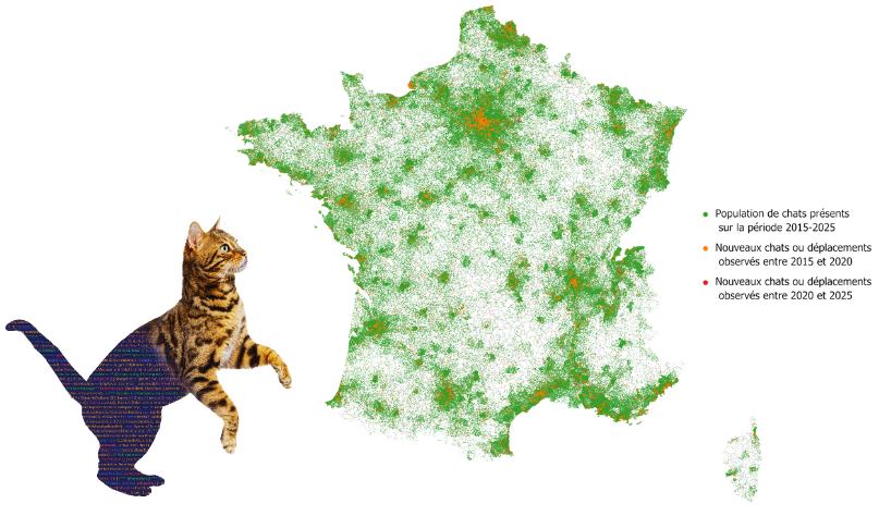 animaux de compagnie à la campagne