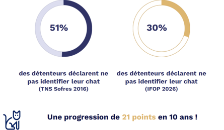 identification des chats en France