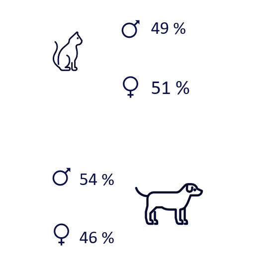 répartition des chiens et des chats